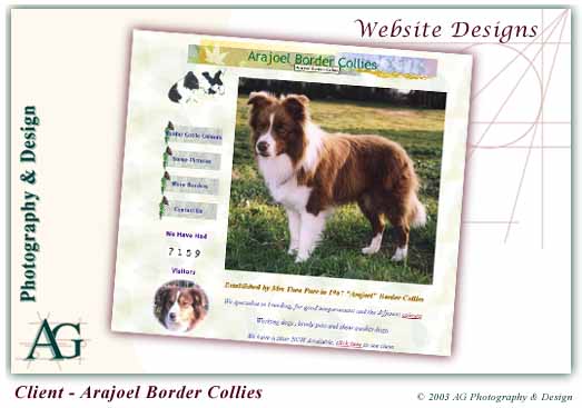 Arajoel Border Collies